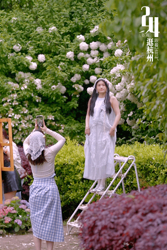 谷雨打logo-动图1.gif