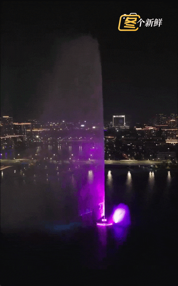 GIF.gif
