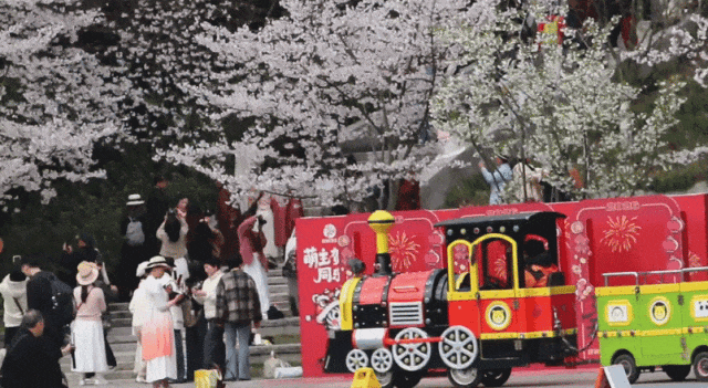 GIF 2026-3-26 11-50-18.gif