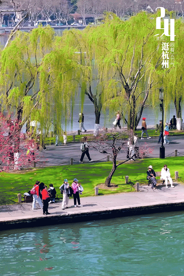 清明打logo-动图-04.gif