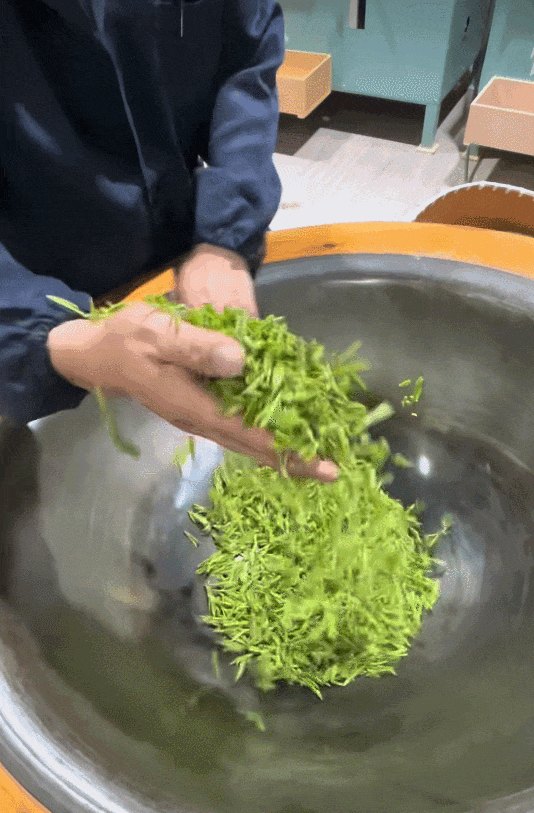 GIF 2026-4-2 18-03-30.gif