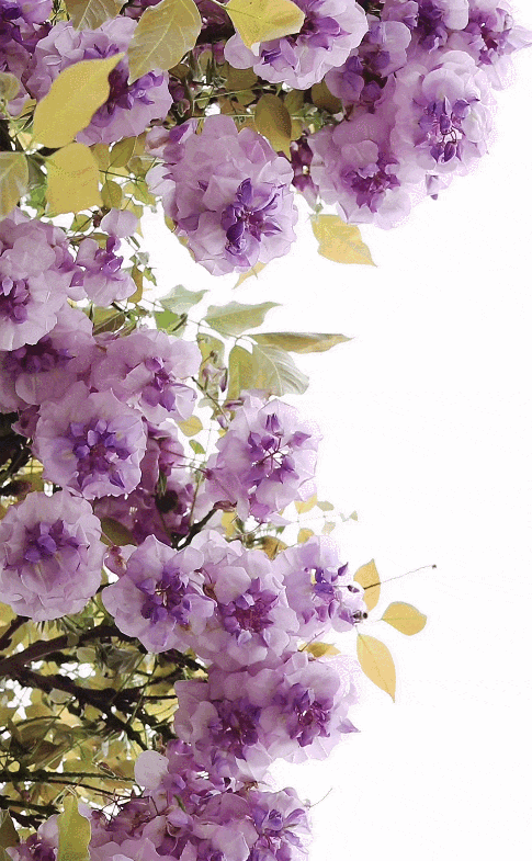 GIF 2026-4-16 10-22-56.gif