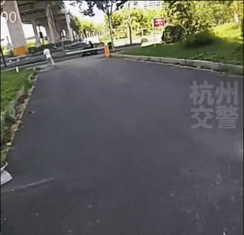 GIF.gif
