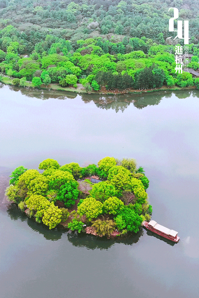 谷雨打logo-动图3.gif