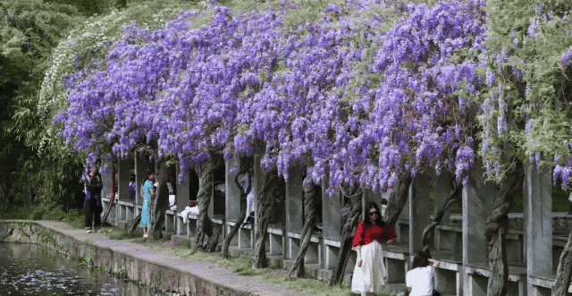 GIF 2026-4-7 11-28-27.gif