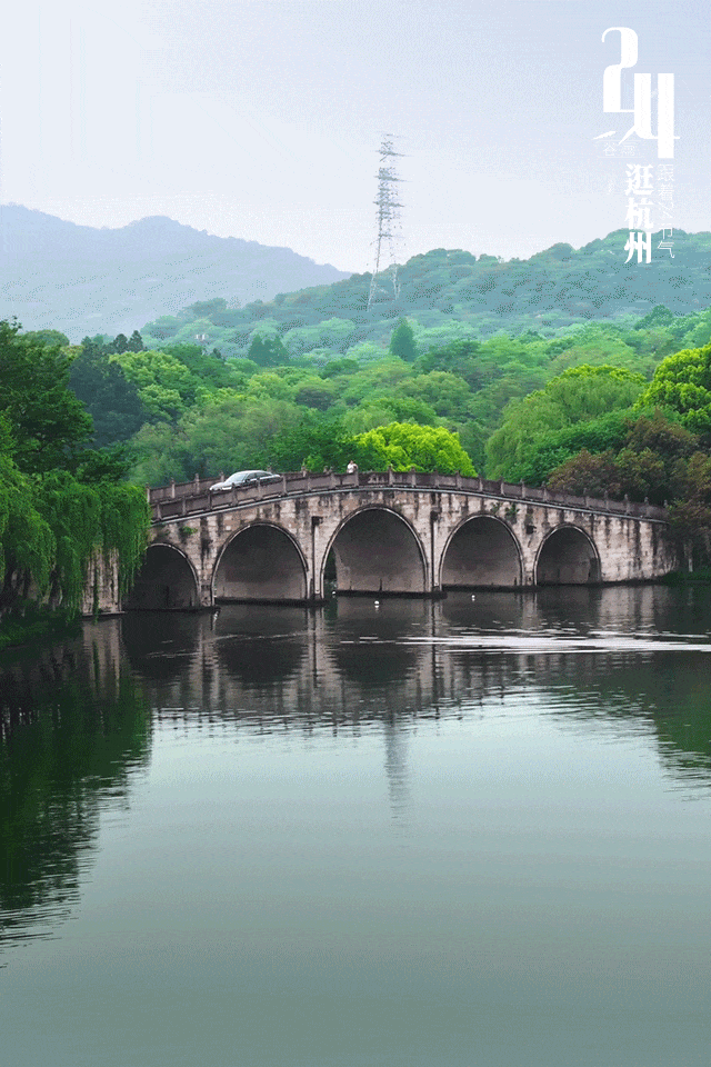 谷雨打logo-动图7.gif