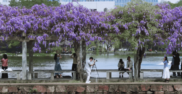 GIF 2026-4-7 11-28-17.gif
