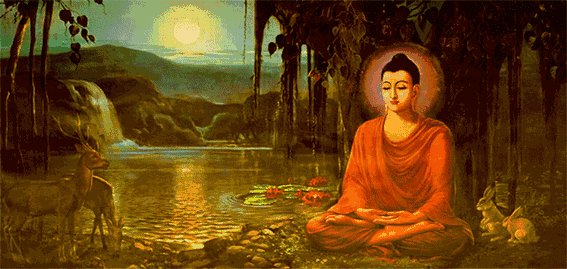 佛系减肥者语录:"酒肉穿肠过,佛祖心中坐.