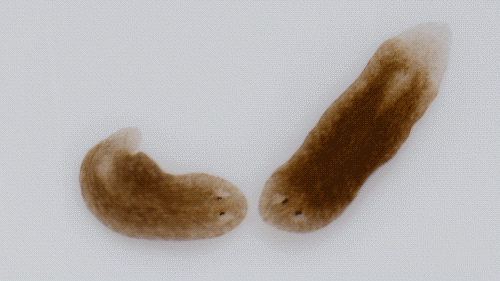 Q Tbn 3aand9gcrdhpl8eqozy8a4w0fxmfb Wn3llbae9doagg Usqp Cau