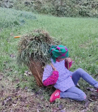 网红小英被曝大瓜，贫穷人设崩塌，背后真相令人震惊