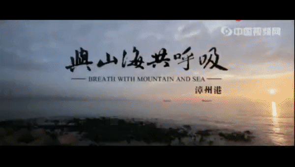 盛世集团电梯牵手广隆地产 共鉴湾区不凡盛境 | 盛世集团电梯（中国）有限公司