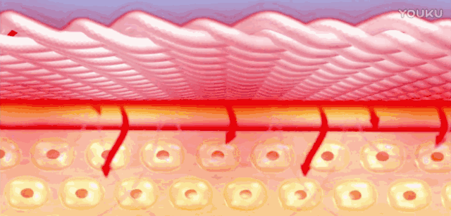 理疗热敷贴怎么贴这个东西是老寒腿克星！每天坚持能让腿脚年轻20岁！_https://www.jmylbn.com_新闻资讯_第28张