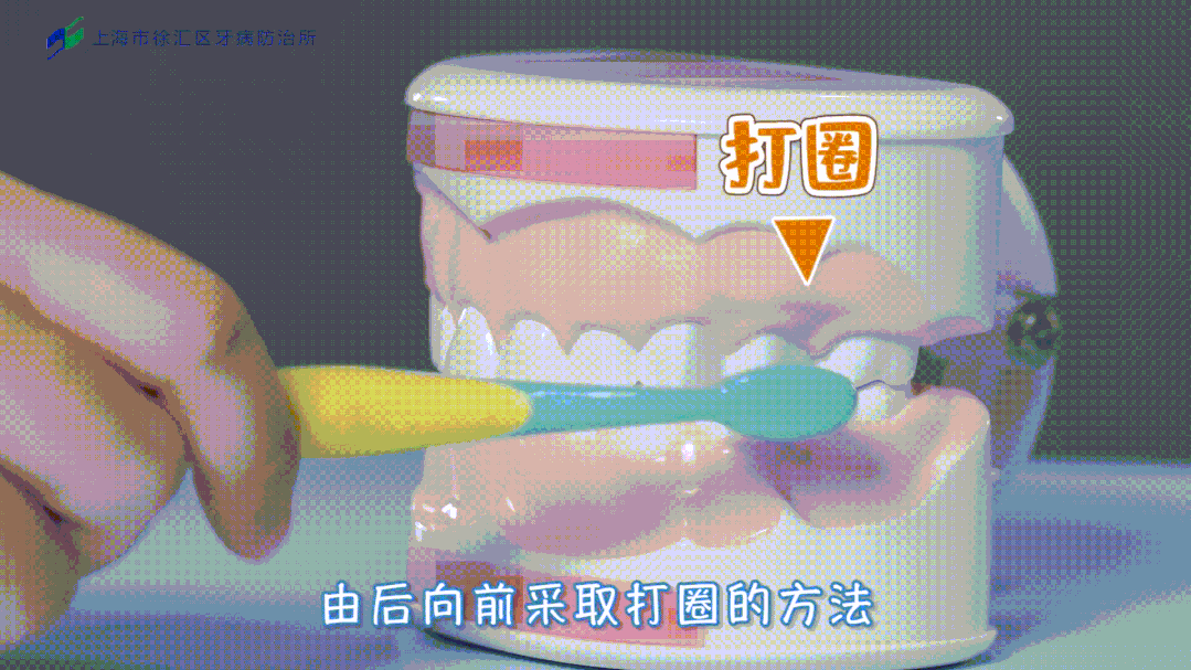 科普知识2022年第43次六一上海市徐汇区口腔卫生日主题宣传活动