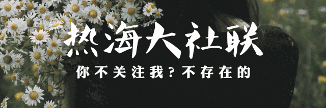 msn是什么聊天软件 网络文化 || 全球的聊天软件你认识几个