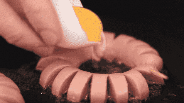 鸡蛋，世界上最百搭的食物