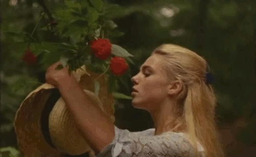 风吹动树叶划过的光