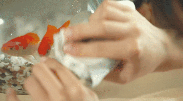 焦虑是一件极其麻烦的事情