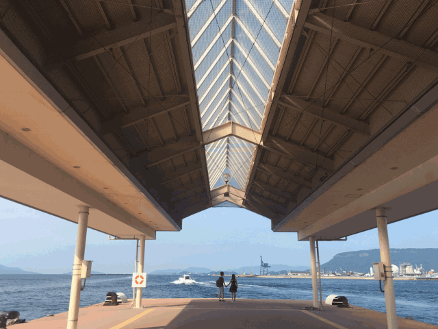 别人用手机拍的照片，为什么比你用相机拍的还好看