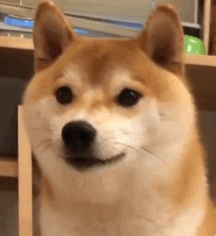 房间小不够用 巨实用的空间整理收纳大法都给我学 柠檬资讯