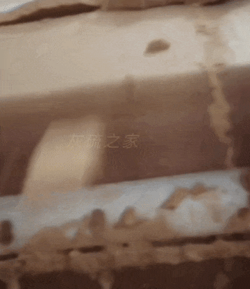 真空皮帶機(jī)