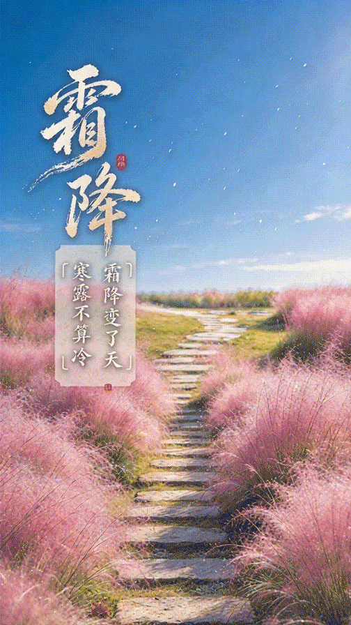 霜降5.gif
