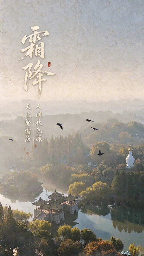 霜降3.gif