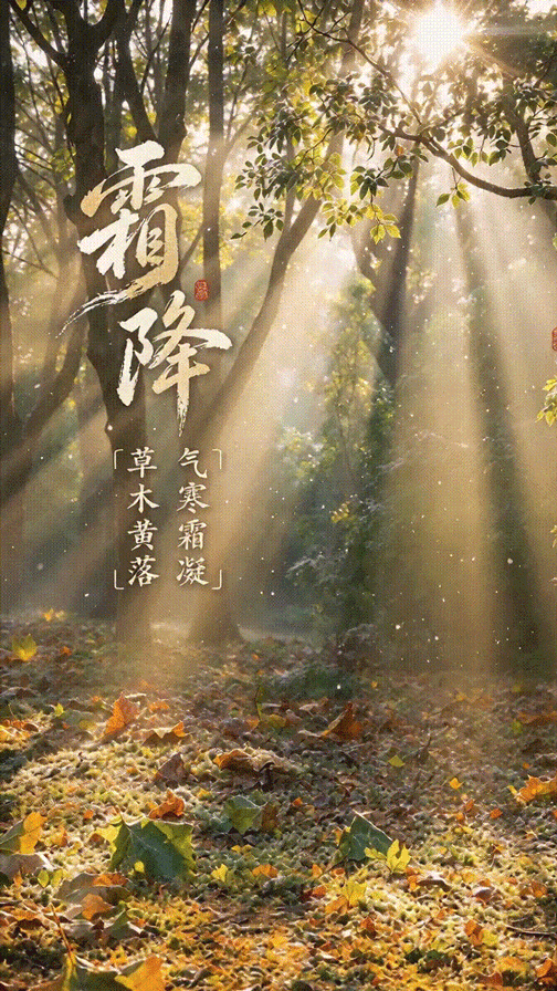 霜降2.gif