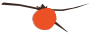 片