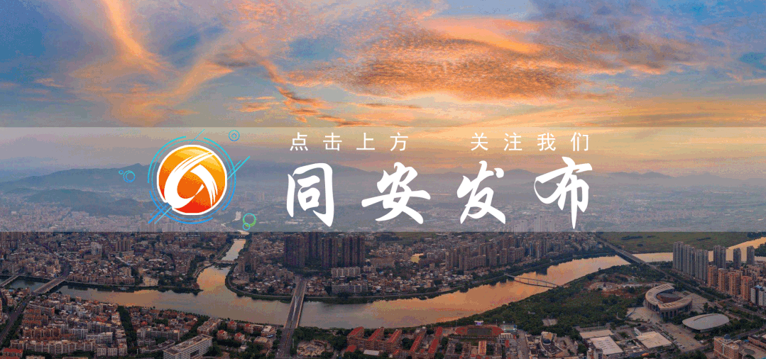 厦门同安军营村旅游服务中心,军营村团建党建服务中心,军营村高山迎旅游服务平台 图片