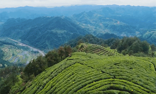 中国最被“误解”的地方，因赶尸出名，美到不像人间，让黄磊爱了很多年...