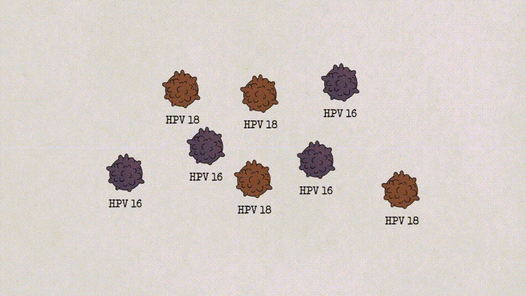 hpvdna分型分为什么型宫颈癌并不可怕！分型分类检测助力早期宫颈癌筛查_https://www.jmylbn.com_新闻资讯_第3张