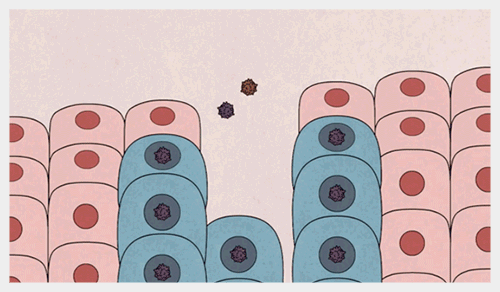 hpvdna分型分为什么型宫颈癌并不可怕！分型分类检测助力早期宫颈癌筛查_https://www.jmylbn.com_新闻资讯_第1张