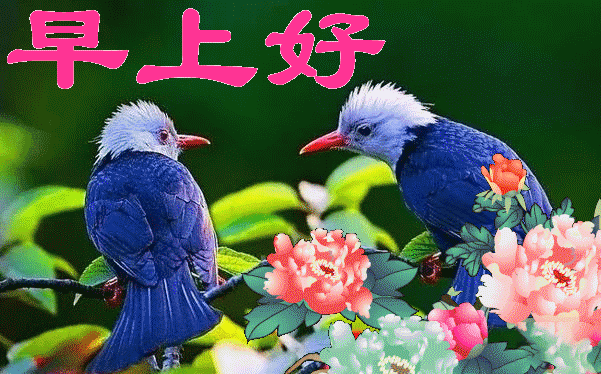 早上好 今天是6月7日周5 满满的祝福 祝你一顺百顺事事顺 背后凉凉 微信公众号文章阅读 Wemp