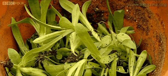 Q Tbn 3aand9gcsszyf6kg8noosesx9tej6iqvpowlbmnj8msa Usqp Cau