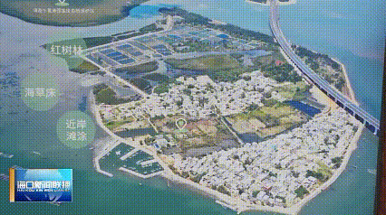 消费[00_01_08--00_01_14].gif