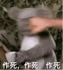 珀斯新增30例，下周二起“封州”！新维两州48小时内关停非必要服务，或于下周二关校 - 35