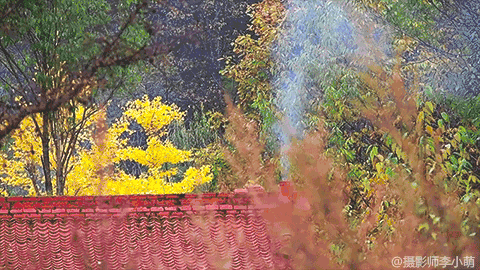 480_270gif 动态图 动图