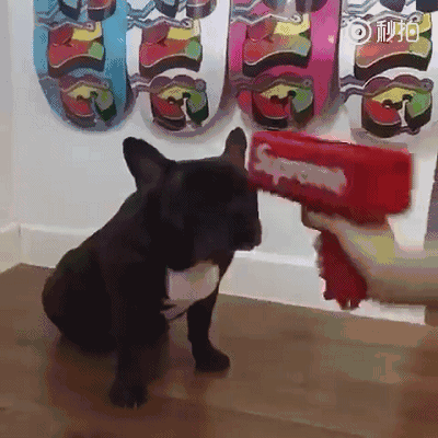 刚刚！中国富豪花3880万在新加坡买下李嘉诚一整层楼！