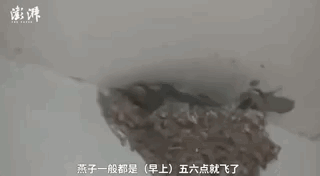 央视新闻|这个约定好暖！老板为它们留了十年的门