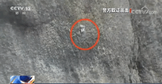 爬了这座山，他们不仅要坐牢，还要赔600万！