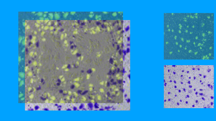image-174198510782499999