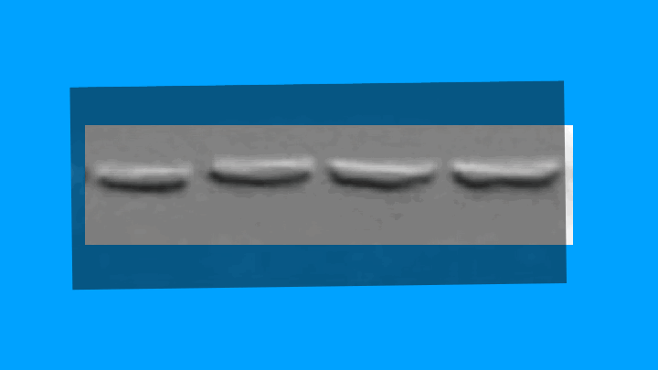image-1745238688530