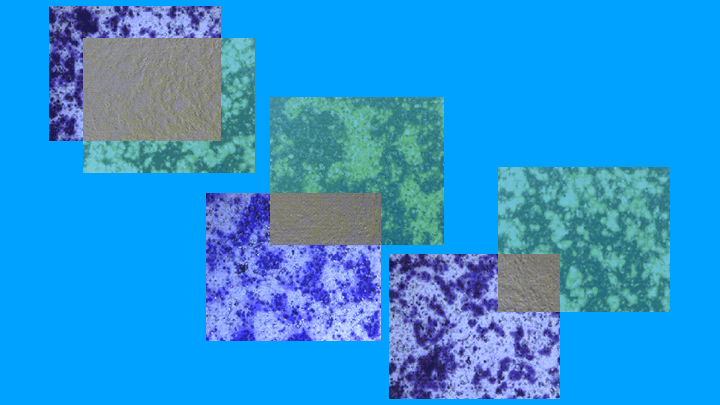 image-1735176722854==
