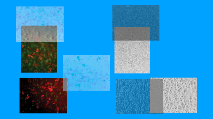 image-1745168842504555555555