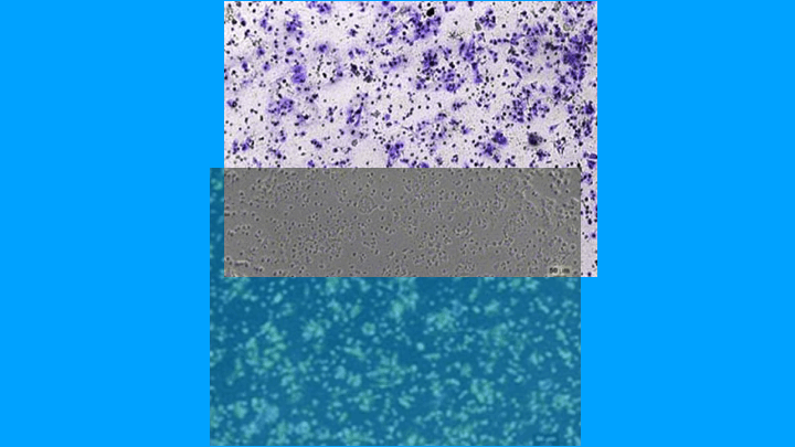 image-1724270032454