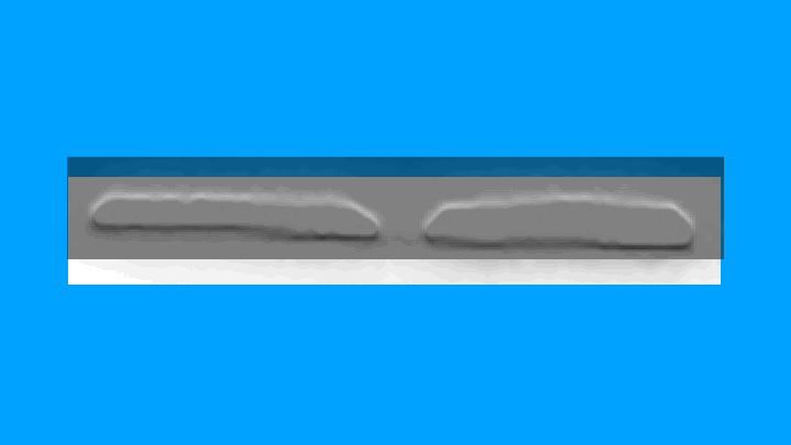image-1742088622602777777777