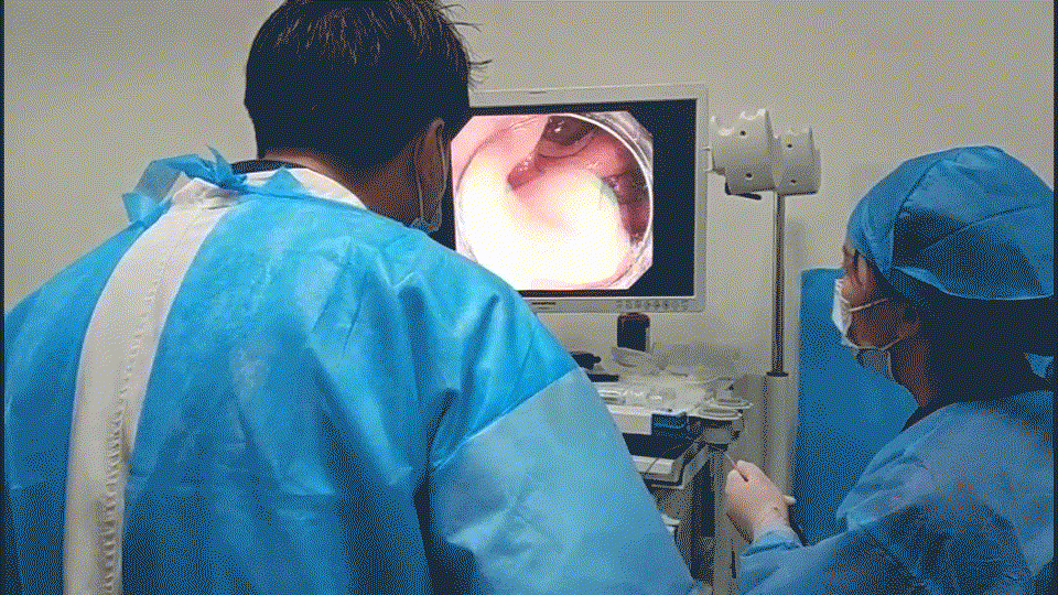 奥林巴斯内窥镜怎么样大牌来了！上海医博肛泰医院引进奥林巴斯CV290电子胃肠镜，超高清，新“镜”界！_https://www.jmylbn.com_新闻资讯_第7张