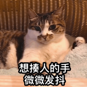 设计师现在都要求会剪辑视频了?这些视频剪辑软件了解下~2 设计师现在都要求会剪辑视频了?这些视频剪辑软件了解下~