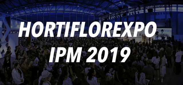 一场花艺的饕餮盛宴，第21届中国国际花卉园艺展览会花艺表演亮点抢先看