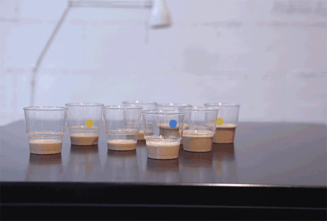 主流网红咖啡口味大评测!盲测咖啡瑞幸排第一？